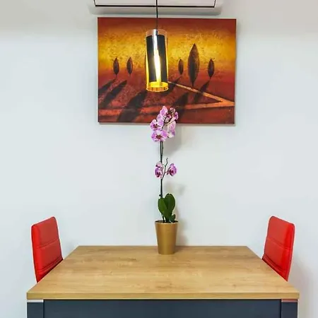 Apartment In Rovinj/istrien 11466